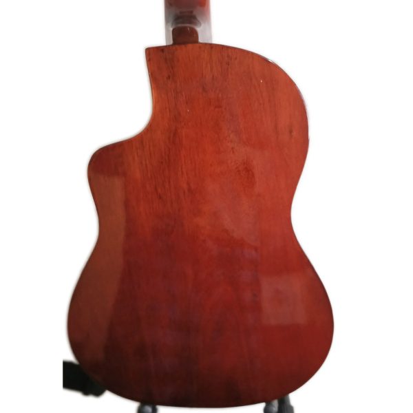 Guitarra electrocriolla El Tronador (Intervención artística)  - Imagen 12