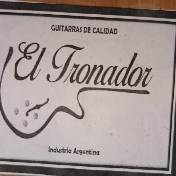 Guitarra electrocriolla El Tronador (Intervención artística)  - Imagen 2