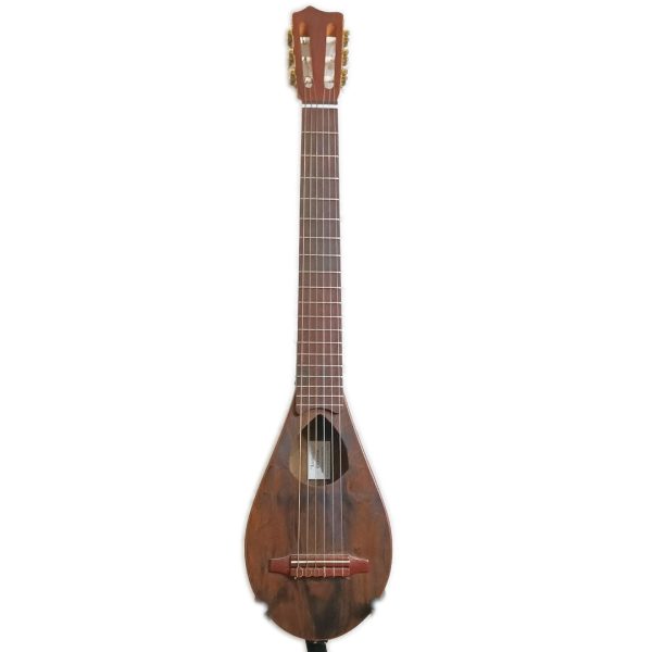 Guitarra viajera Orellano