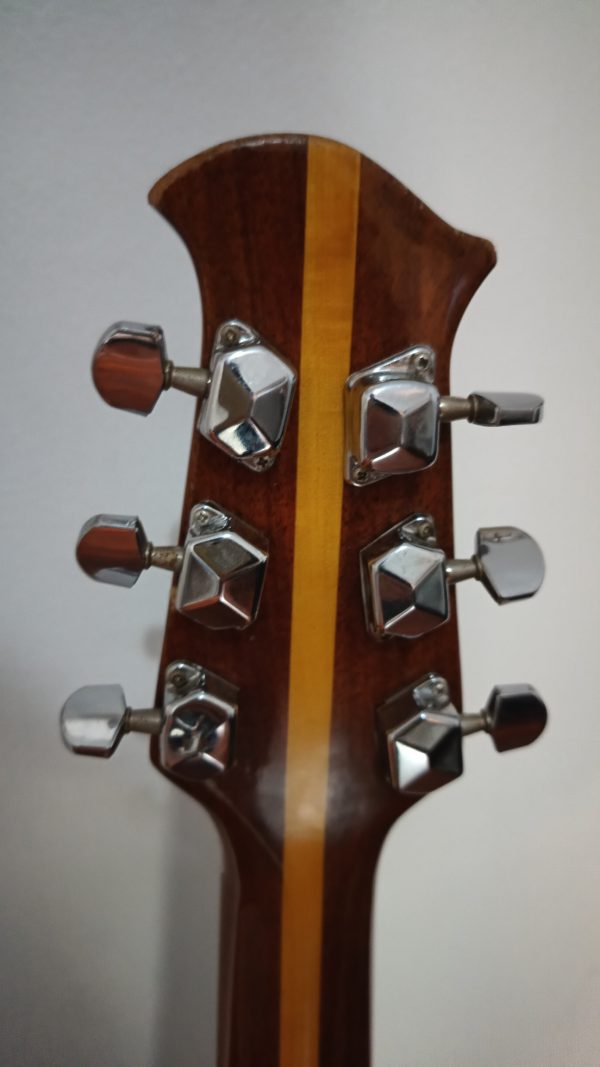 Guitarra electroacústica FAIM 700 - Imagen 2
