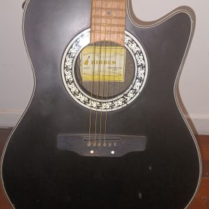 Guitarra Hidden tipo Ovation