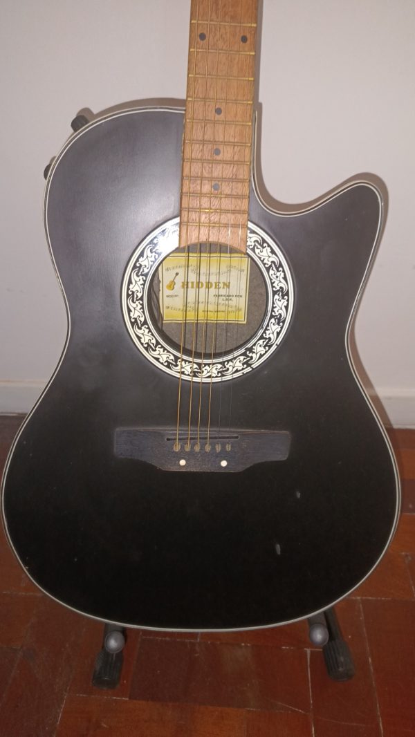 Guitarra Hidden tipo Ovation